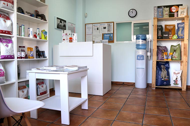 La tienda de nuestra clínica veterinaria